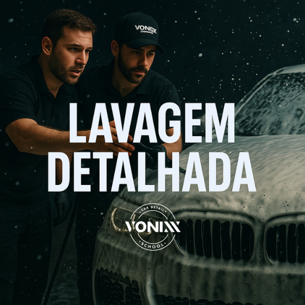 LAVAGEMDETALHADA2